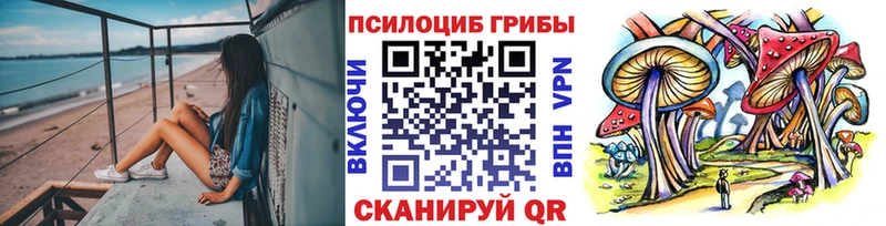 Галлюциногенные грибы ЛСД сайты даркнета какой сайт Зеленодольск