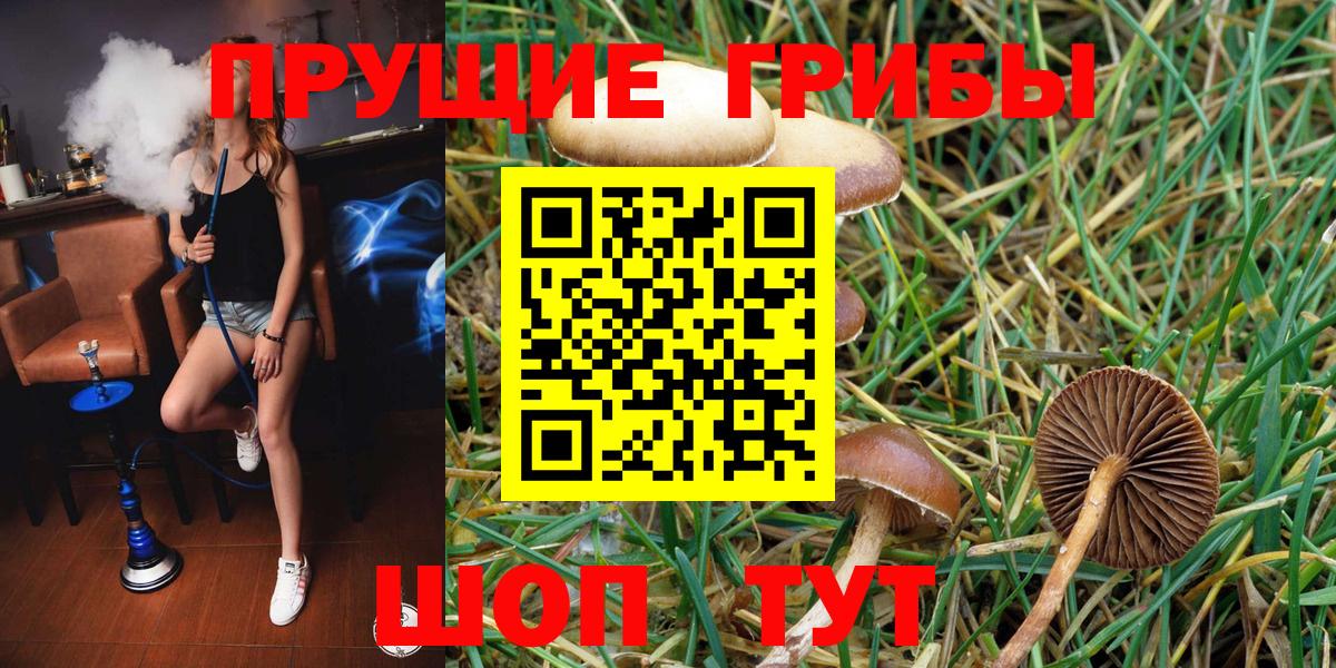 Галлюциногенные грибы Psilocybe  Вход с VPN  наркотики  Галлюциногенные грибы мицелий  Зеленодольск 