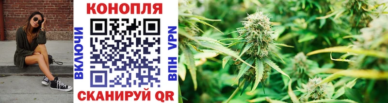 где купить   Зеленодольск  Бошки Шишки THC 21% 